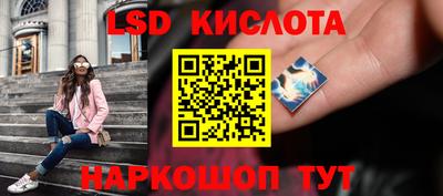 метадон Гай