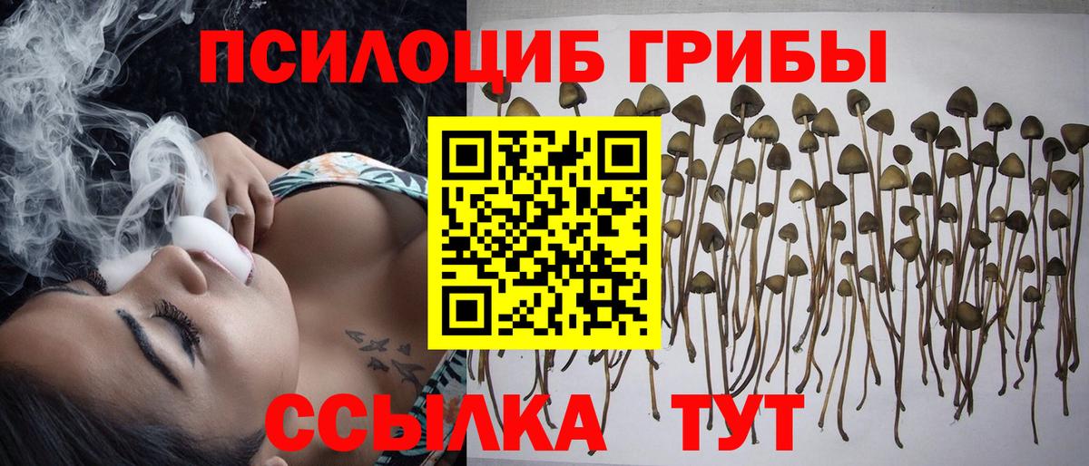 Галлюциногенные грибы мицелий  Дальнереченск 