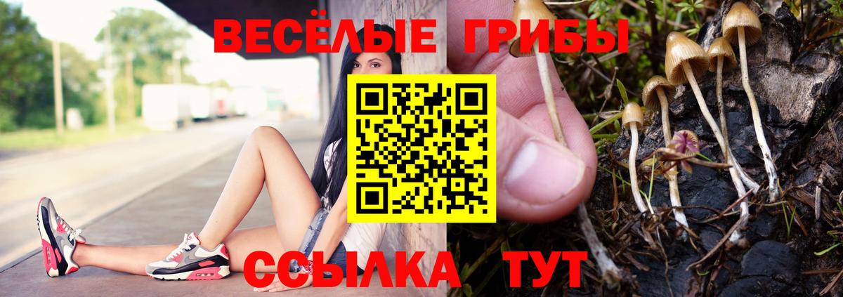 Мефедрон   APVP СК   Дальнереченск  Меф МЯУ МЯУ кристаллы  Канабис  Гашиш  Кокаин 